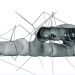 Offecct-Dendron21