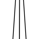 Ski1