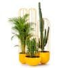 Cacti Planters by Anki Gneib – Nola