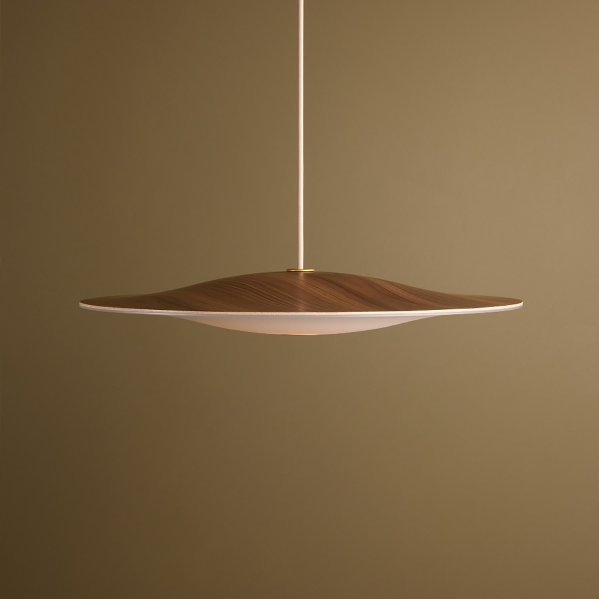 Close-up of Sinus Wood pendant highlighting natural walnut grain and mathematical sine curve design details