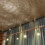 Starlight-jonas-bohlin-4